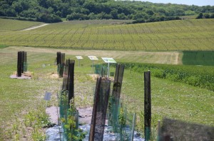 Différents aménagements favorables à la biodiversité sont présents sur cette parcelle.