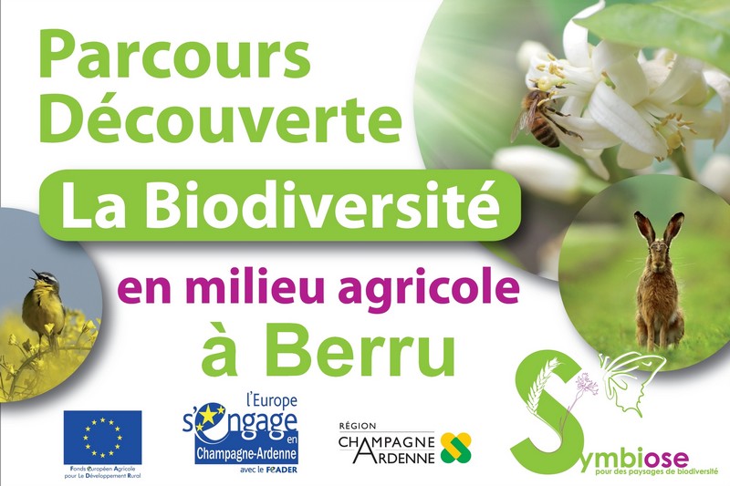 parc_decouv_berru