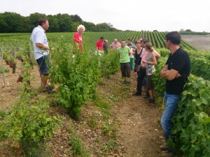 Visite Ambonnay 24-07-13