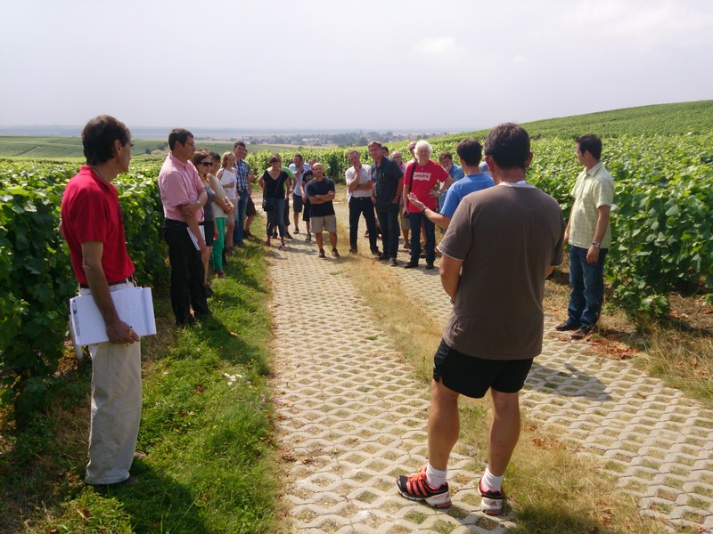 Visite Ambonnay 24-07-13