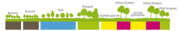 Schema Plantation