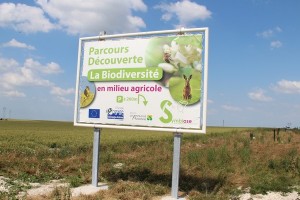 Le Parcours découverte de la biodiversité de Berru est accessible à toute personne intéressée pour mettre en place des aménagements favorables à la biodiversité.