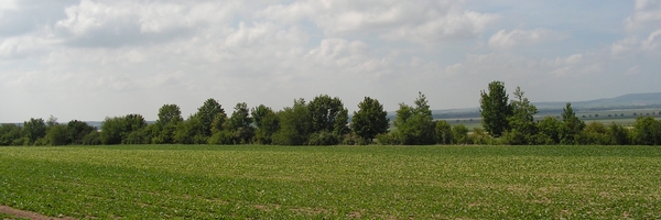 Haie-2