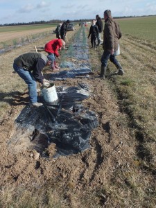 Les bénévoles et les élèves de la MFR ont planté les arbustes.