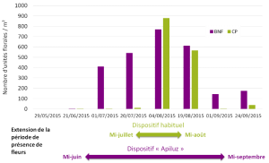 graph durée fleur Apiluz 2015
