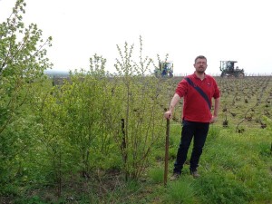 François Louvet a installé un petit bosquet en marge d’une parcelle de vigne.
