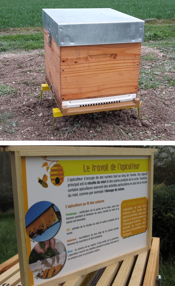 exemple de projet d apiculture pdf