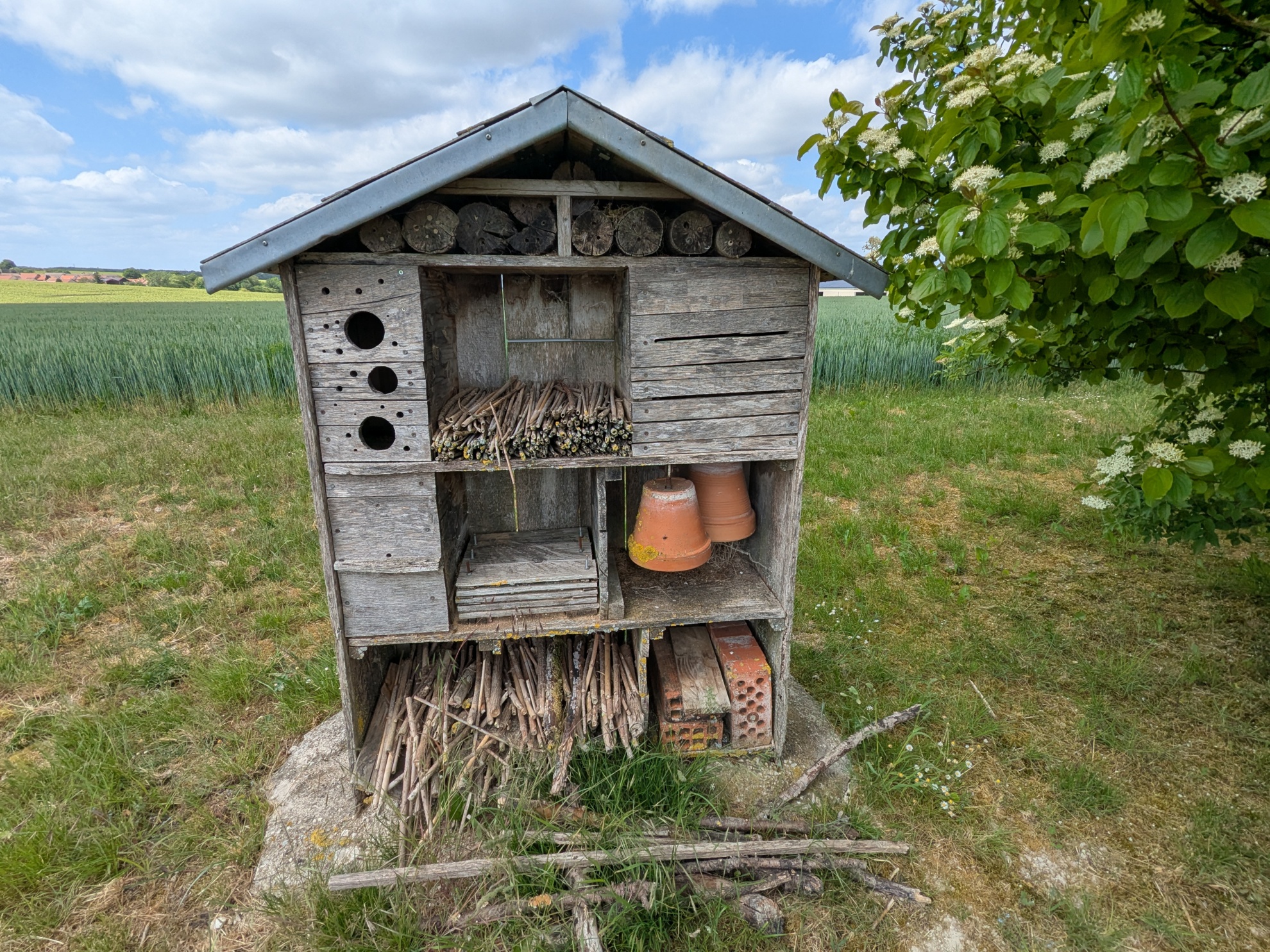Hôtel à insectes (CP Symbiose)