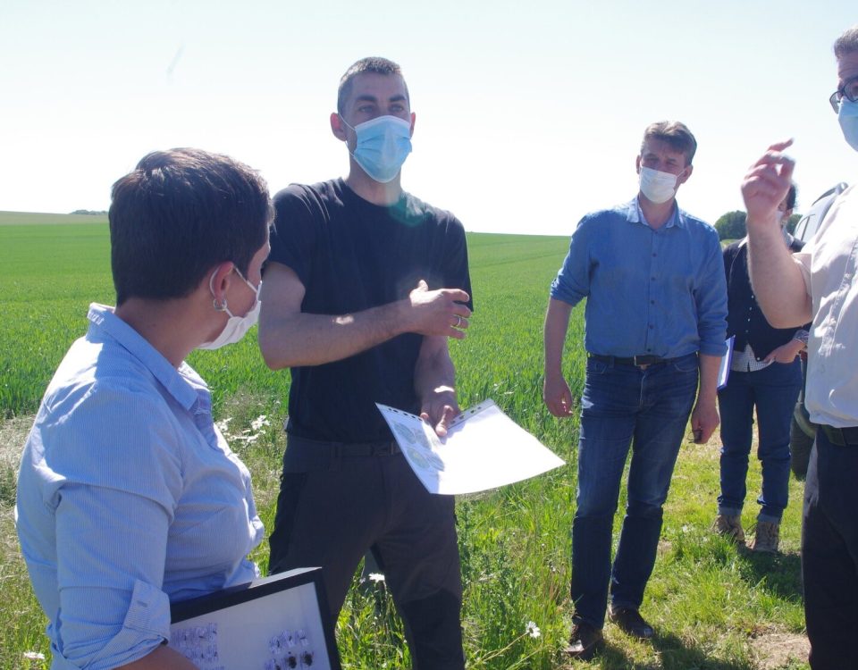 Clara Amy, Réseau Biodiversité pour les Abeilles, Jérémy Miroir de Miroir Environnement (écologue), Hervé Lapie, Président de Symbiose (au fond).