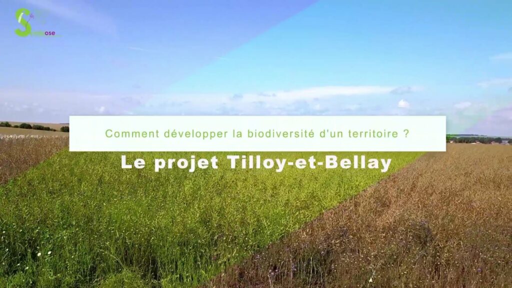 Tilloy_et_Bellay_en_video