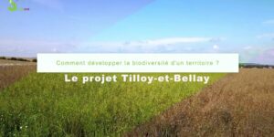 Tilloy_et_Bellay_en_video