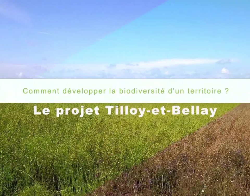 Tilloy_et_Bellay_en_video