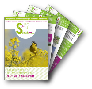 img catalogue+fiches