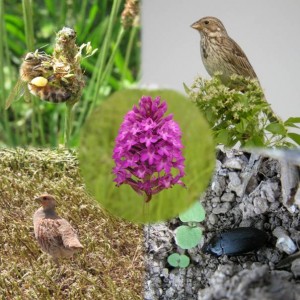 indicateurs_biodiv